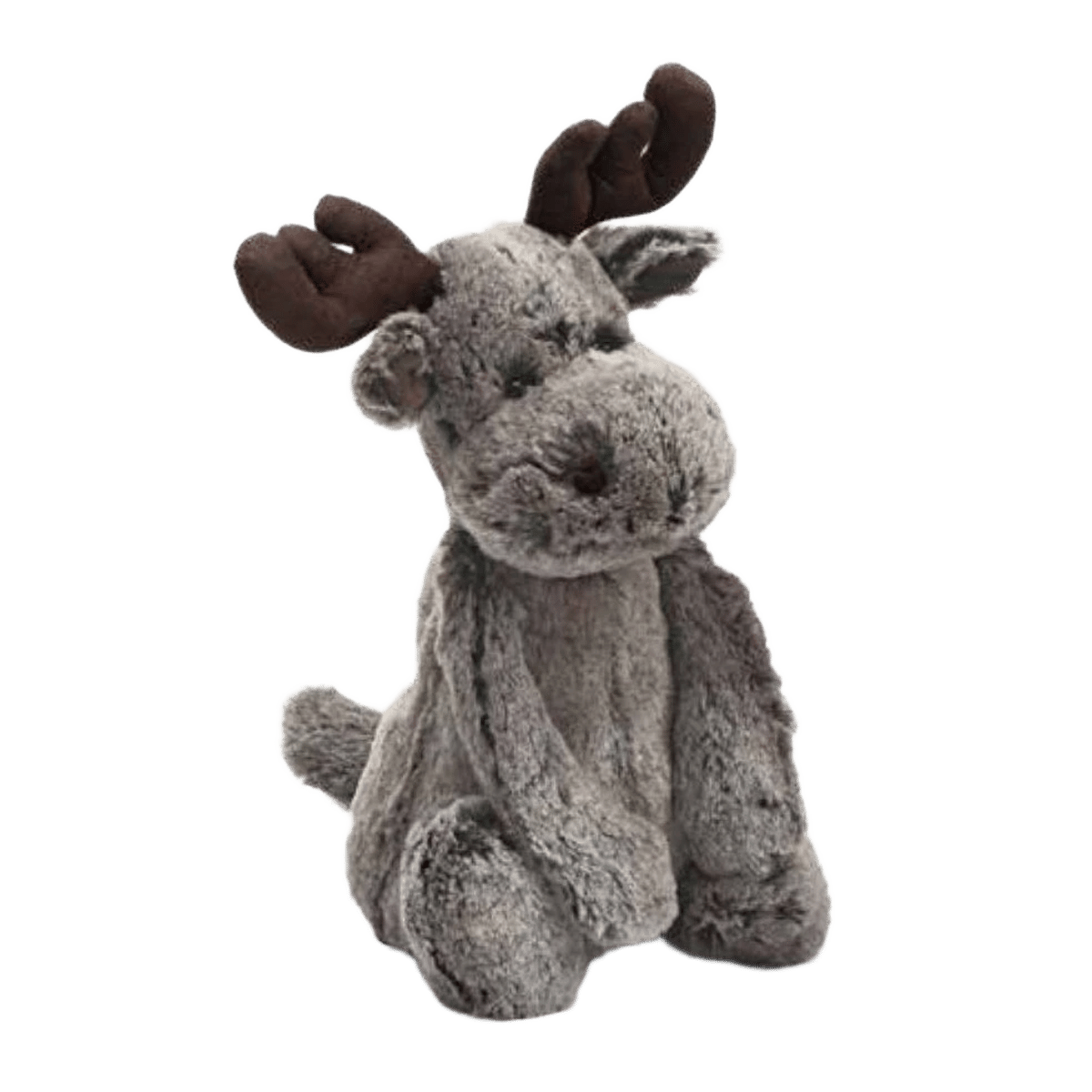 Bashful Marty Moose