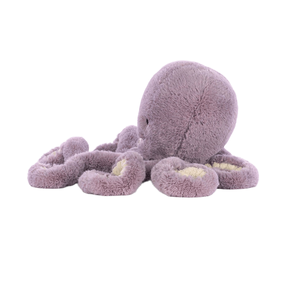 Maya Octopus