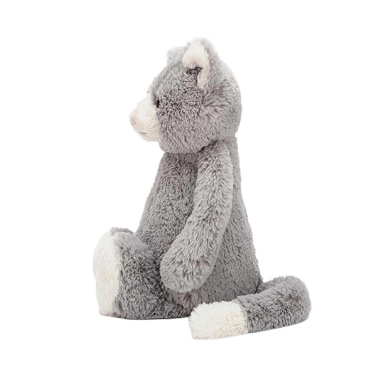 Bashful Cat
