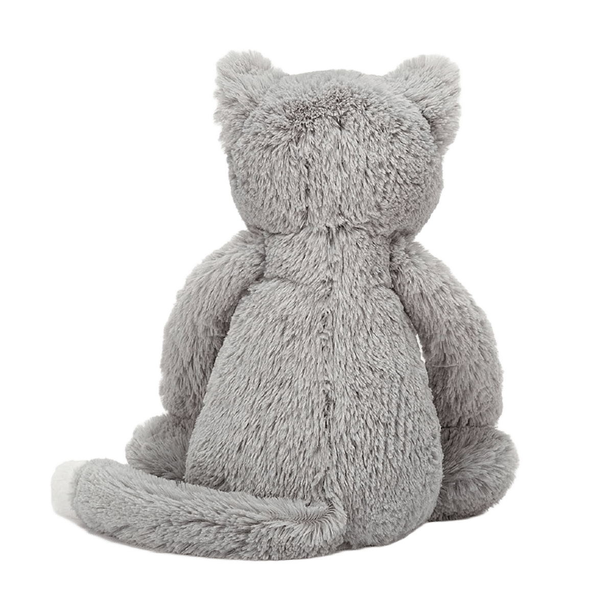 Bashful Cat
