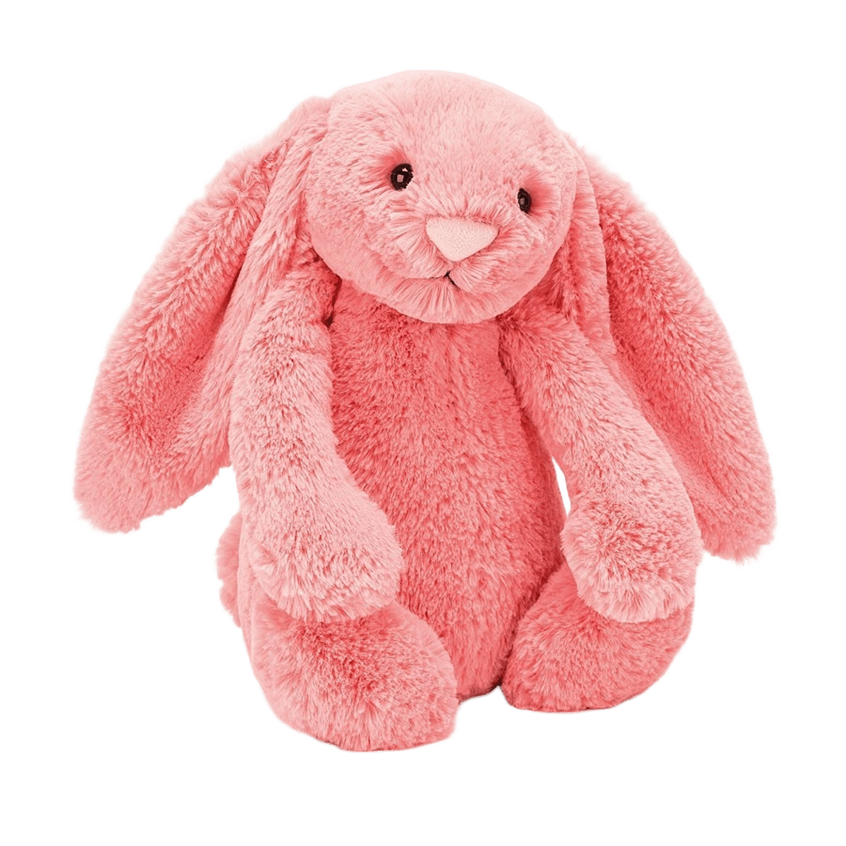 Bashful Coral Bunny