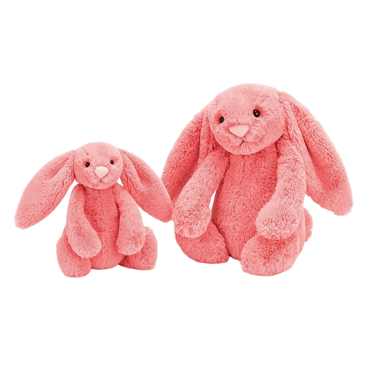 Bashful Coral Bunny