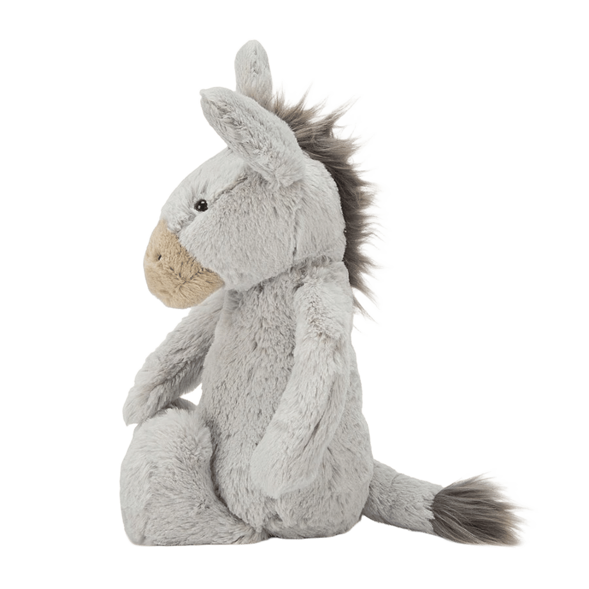 Medium Bashful Donkey