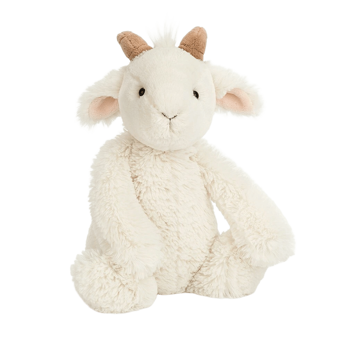 Bashful Goat