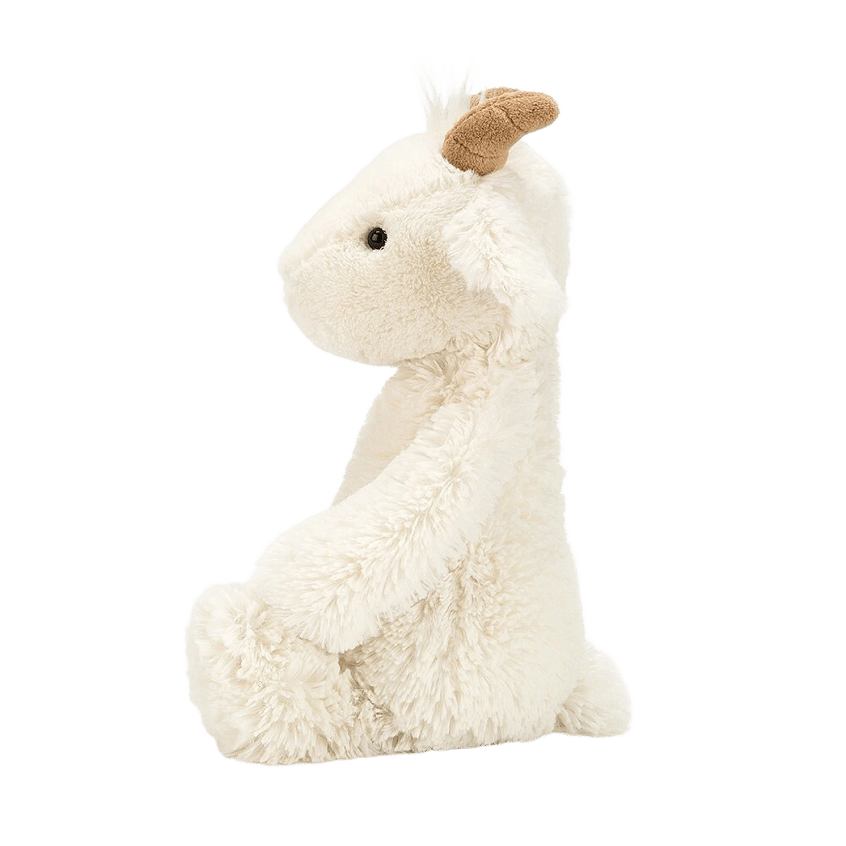Bashful Goat