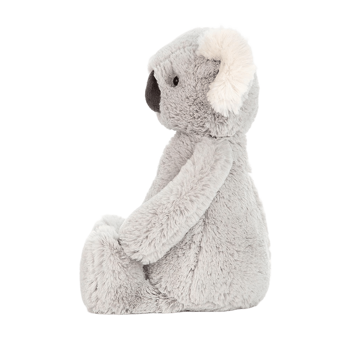 Bashful Koala 