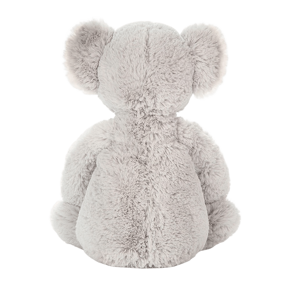 Bashful Koala 