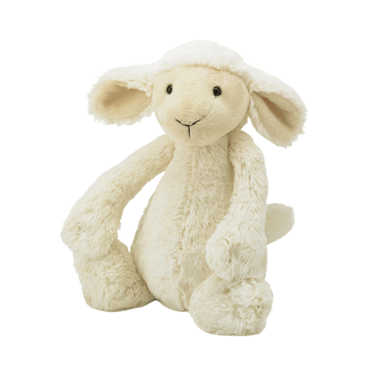 Bashful Lamb