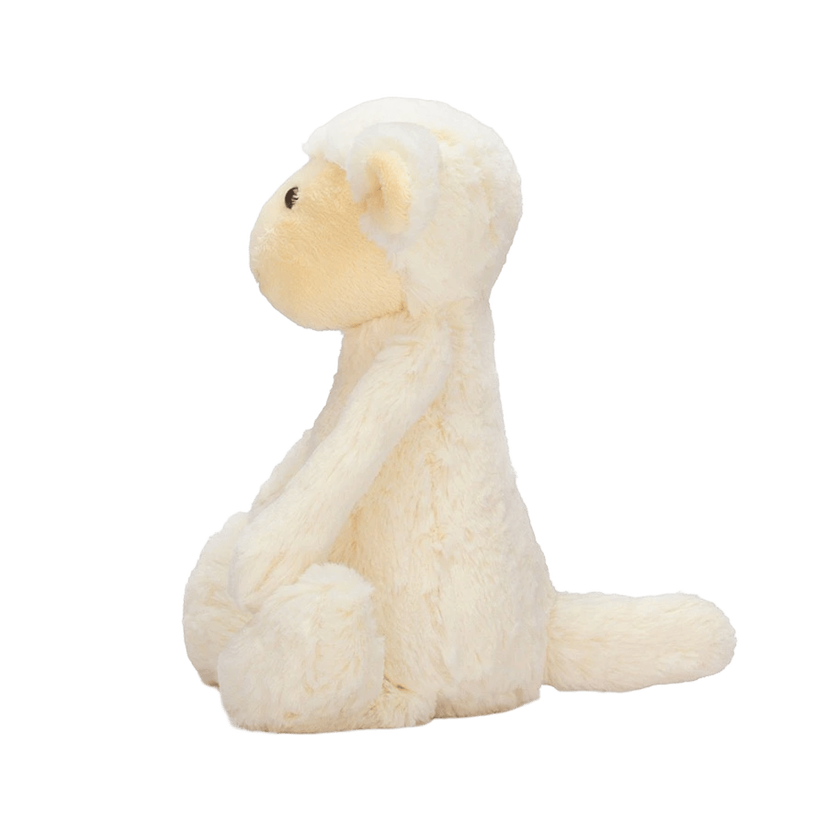 Bashful Lamb