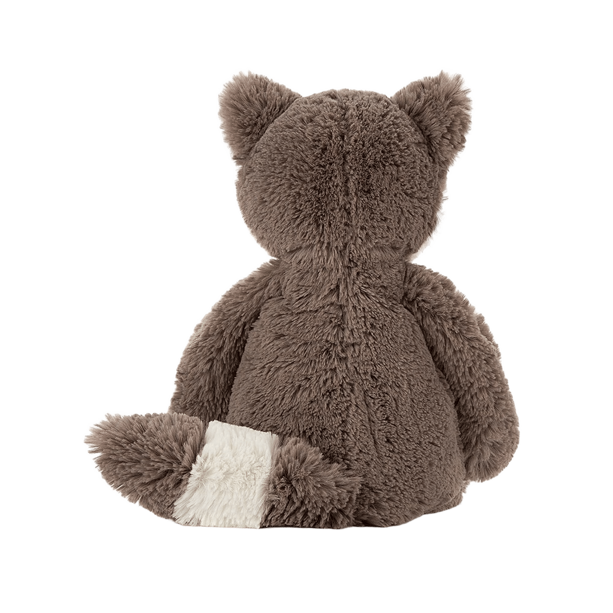 Bashful Raccoon