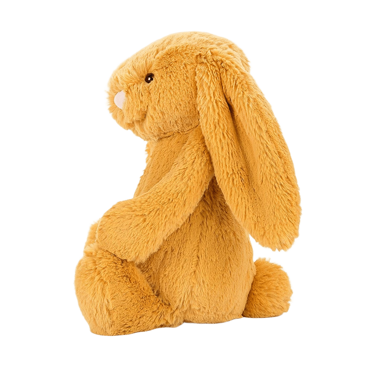 Bashful Saffron Bunny