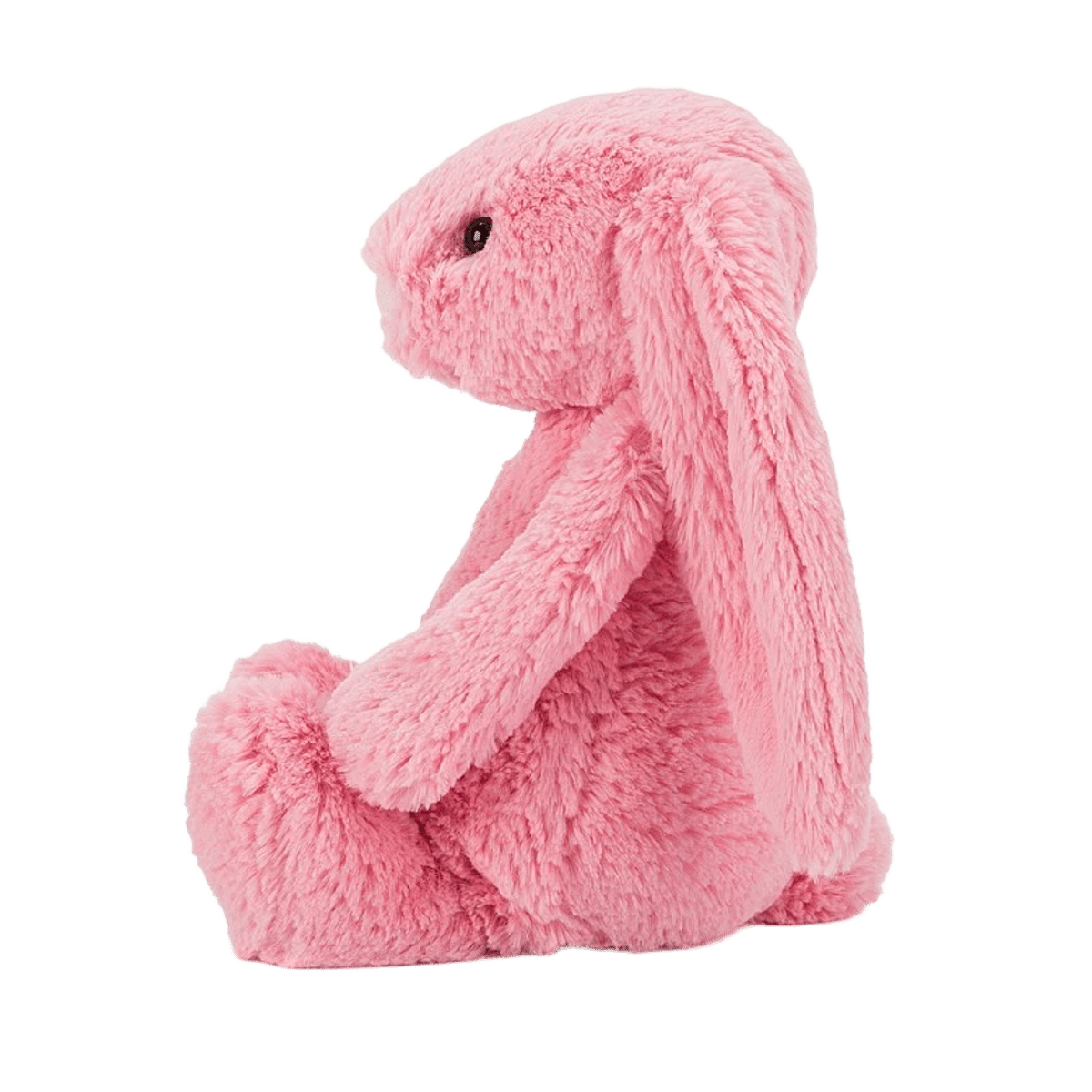 Bashful Sorbet Bunny