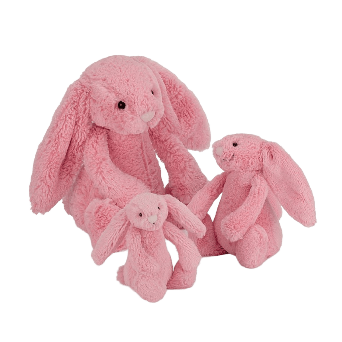Bashful Sorbet Bunny