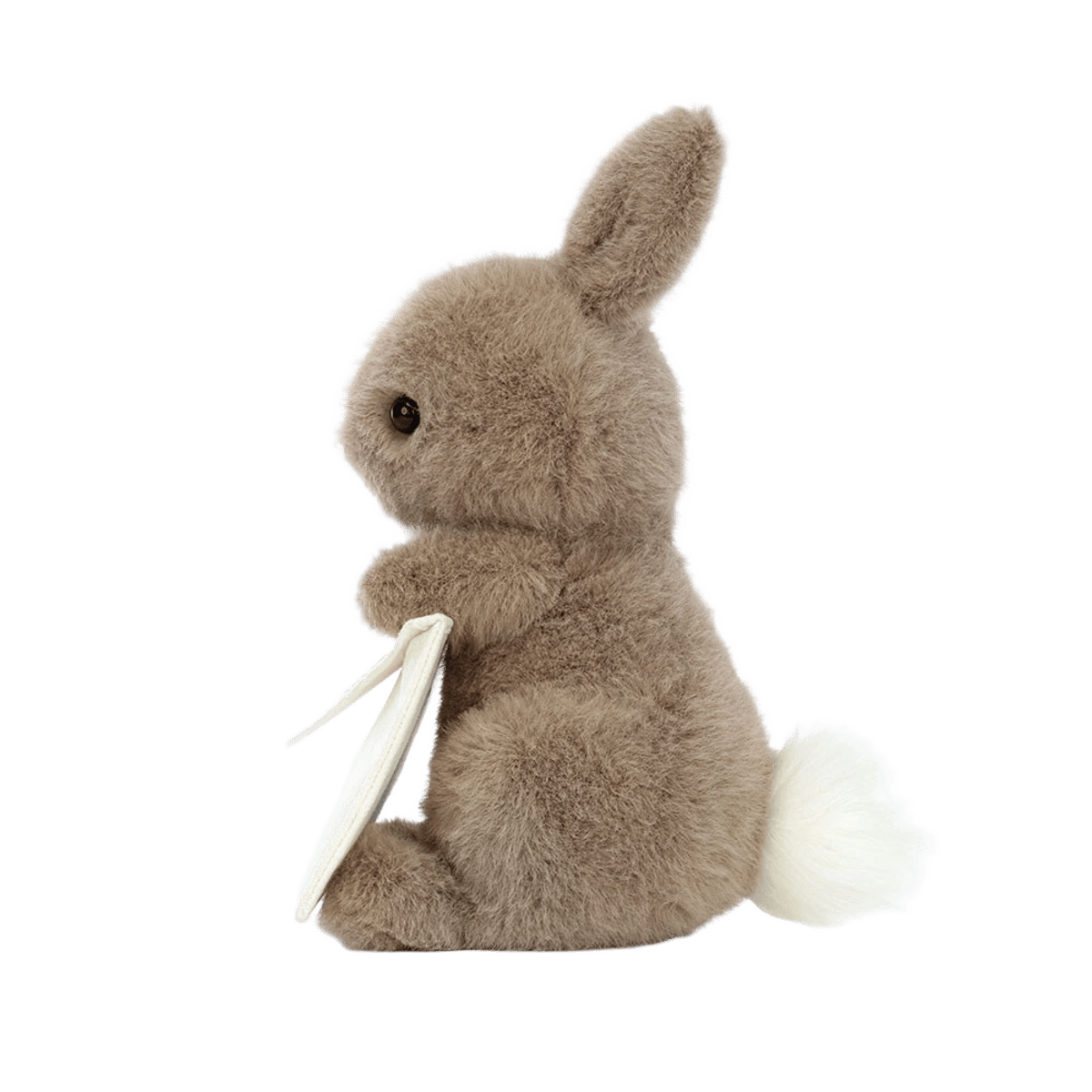 Messenger Bunny