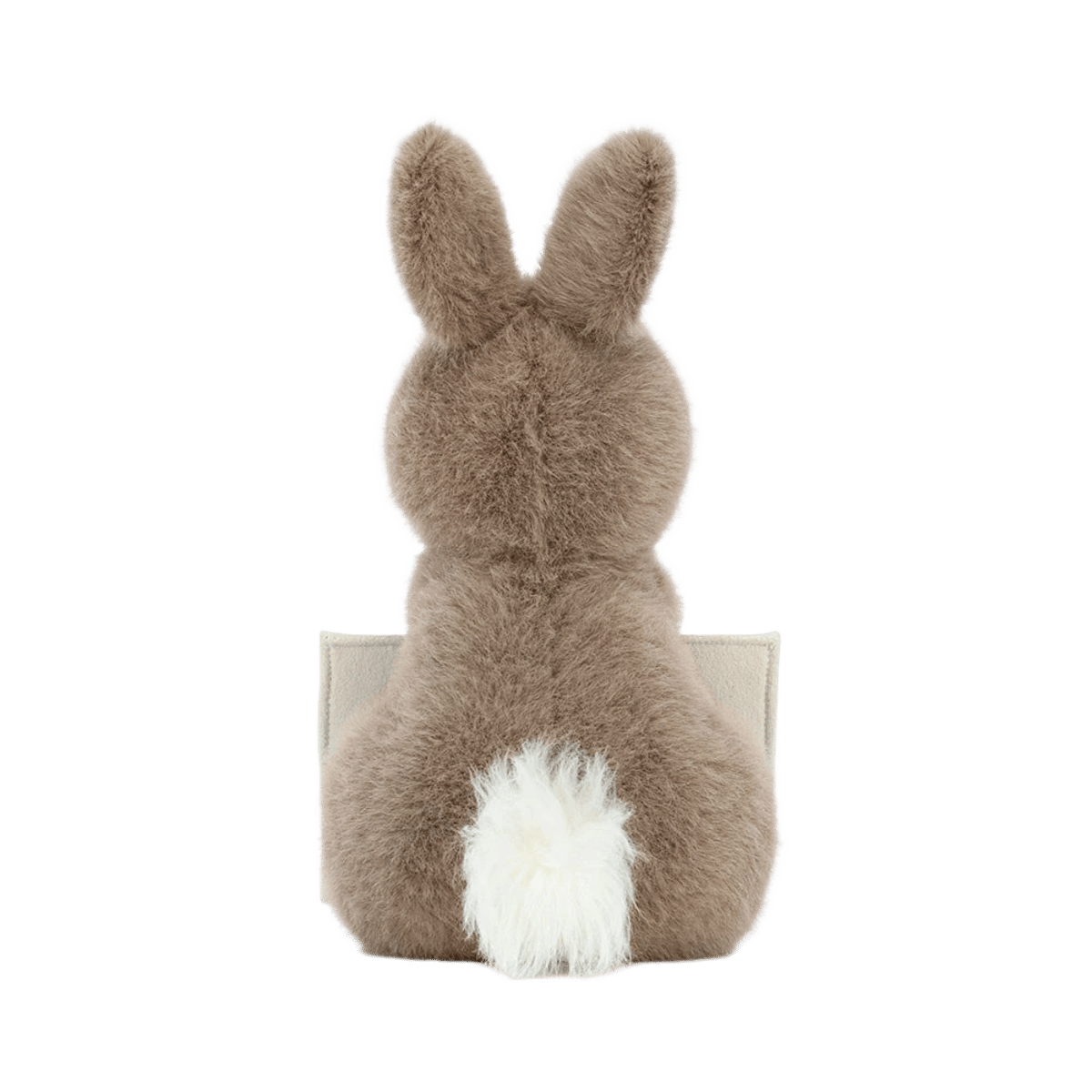 Messenger Bunny