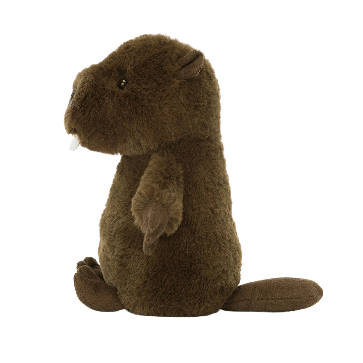 Nippit Beaver