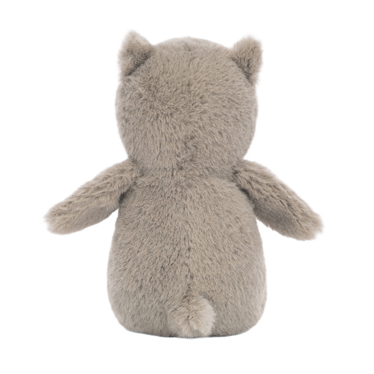 Nippit Owl