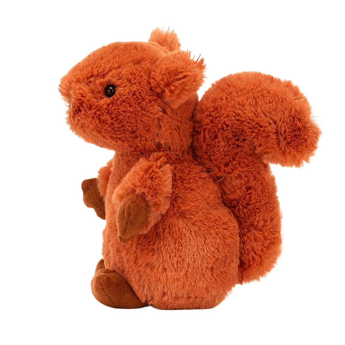 Nippit Squirrel