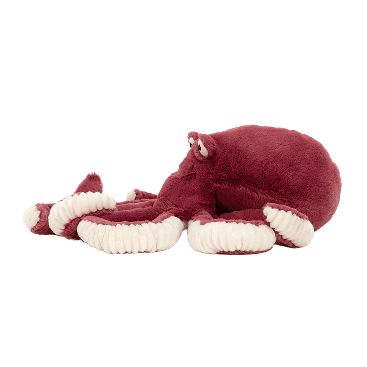 Obbie Octopus