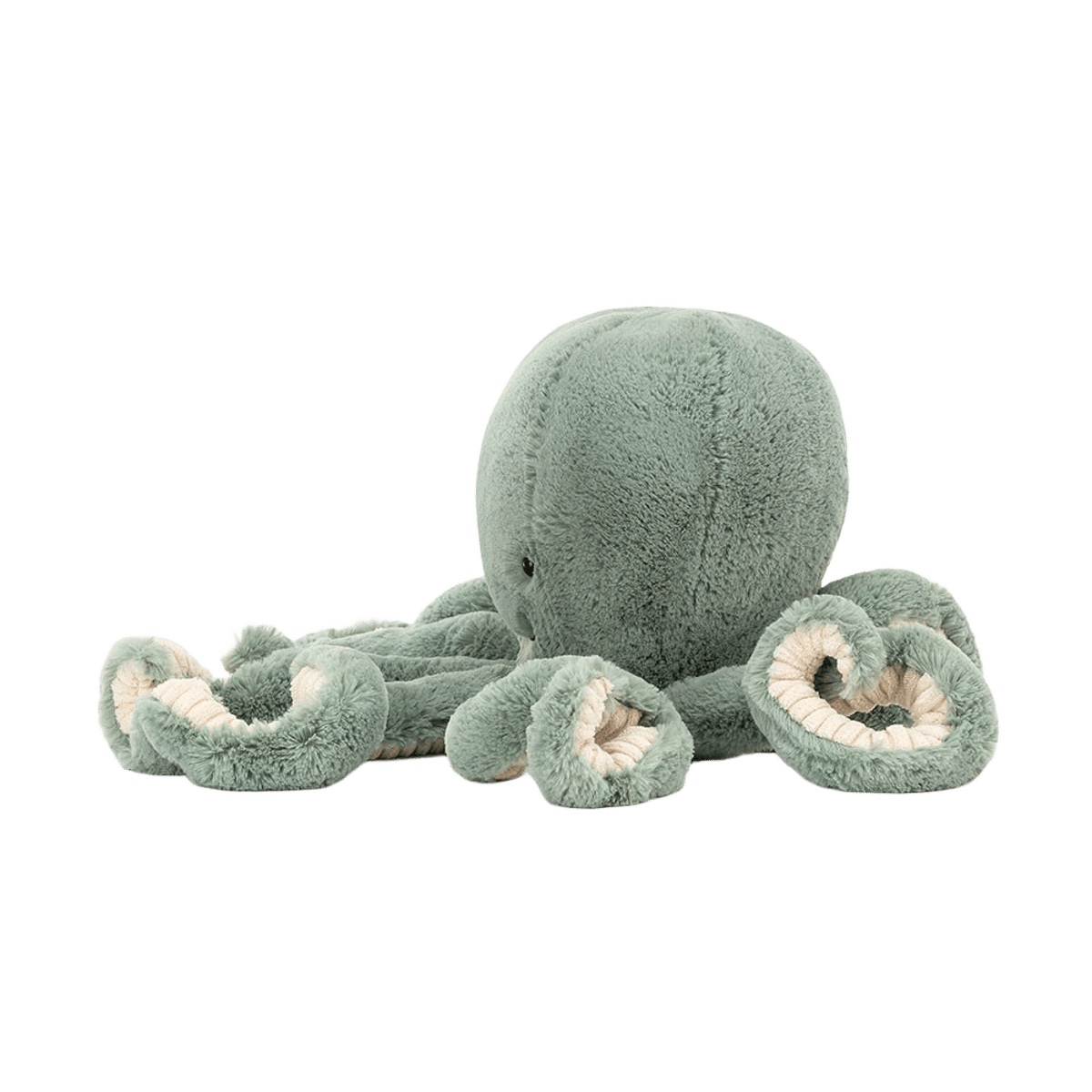 Odyssey Octopus