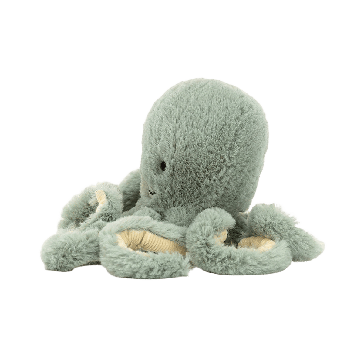 Odyssey Octopus