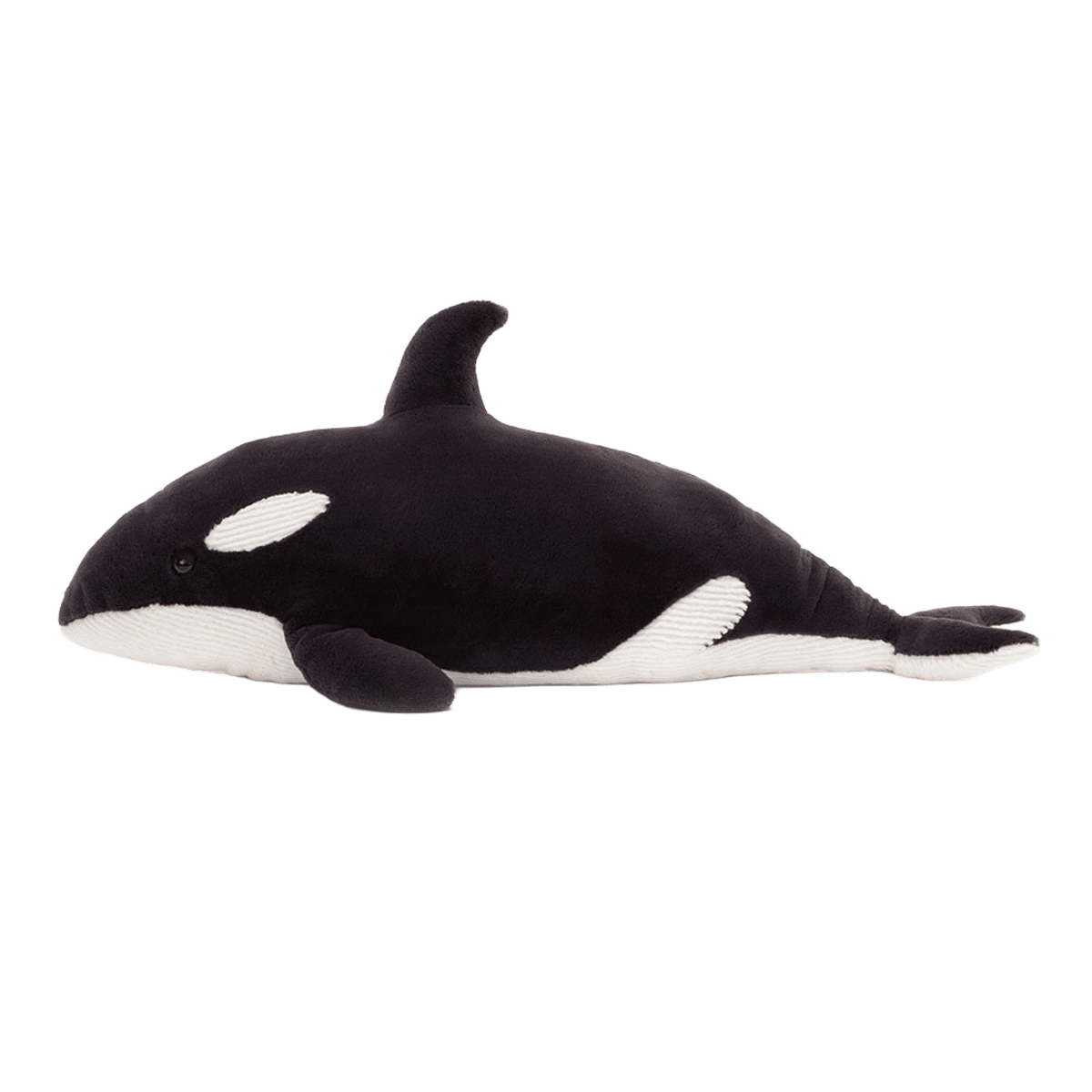 Ollivander the Orca