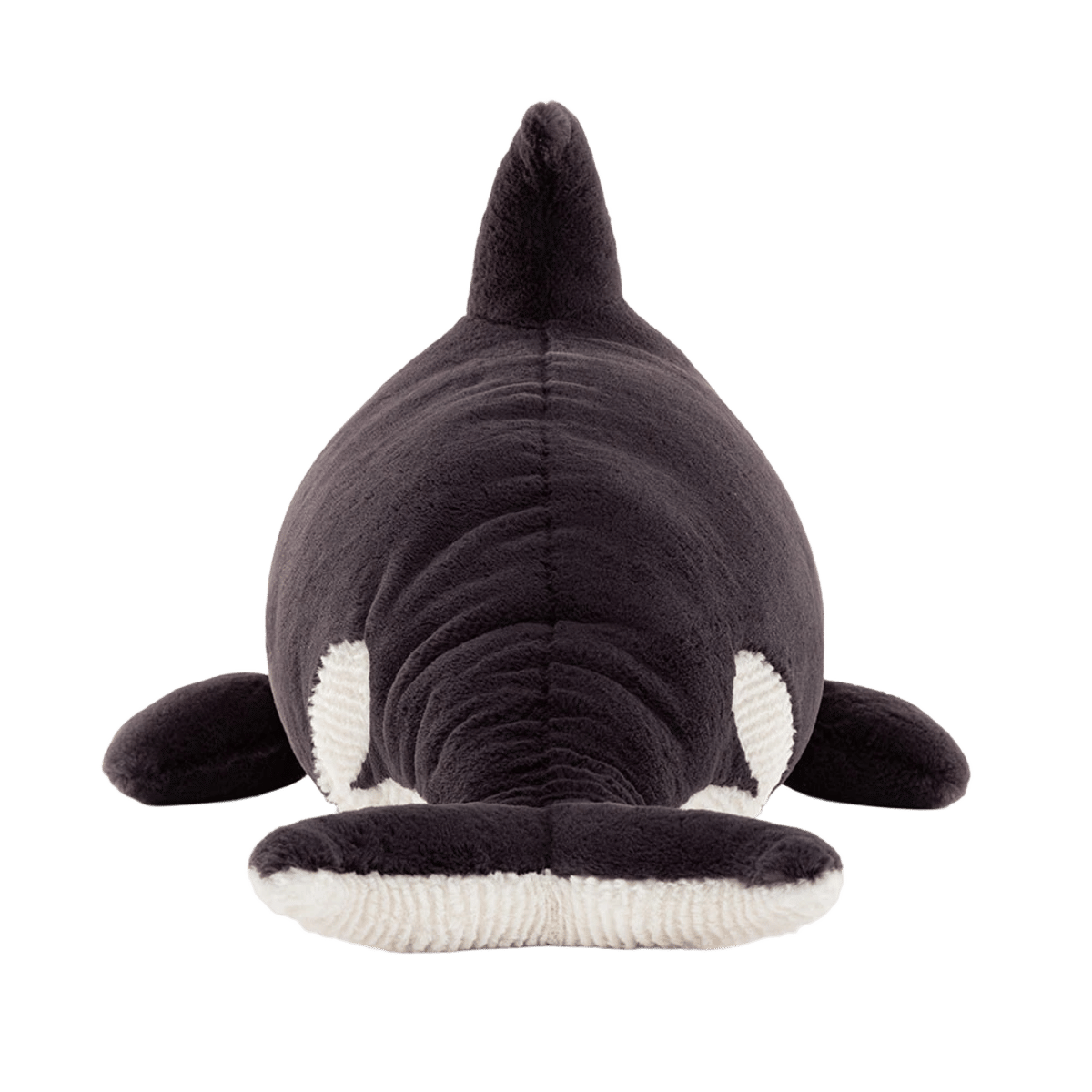 Ollivander the Orca