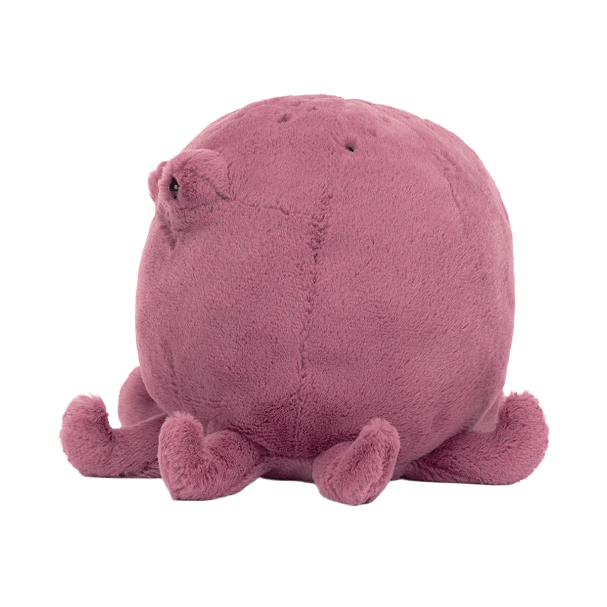 Ondre Octopus
