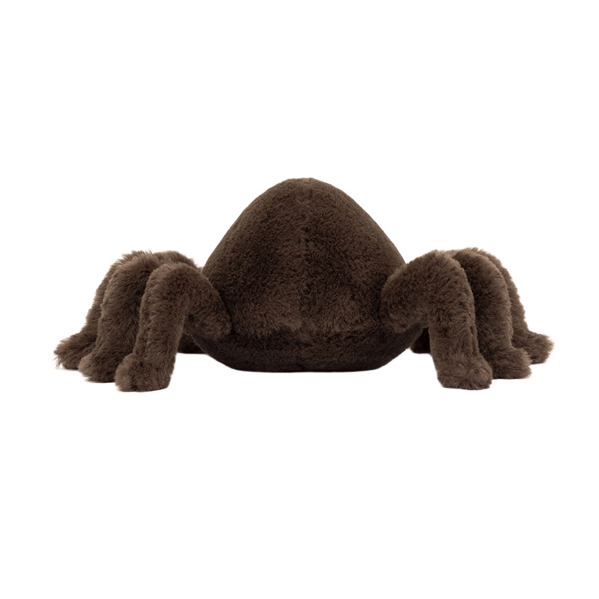 Ooky Spider