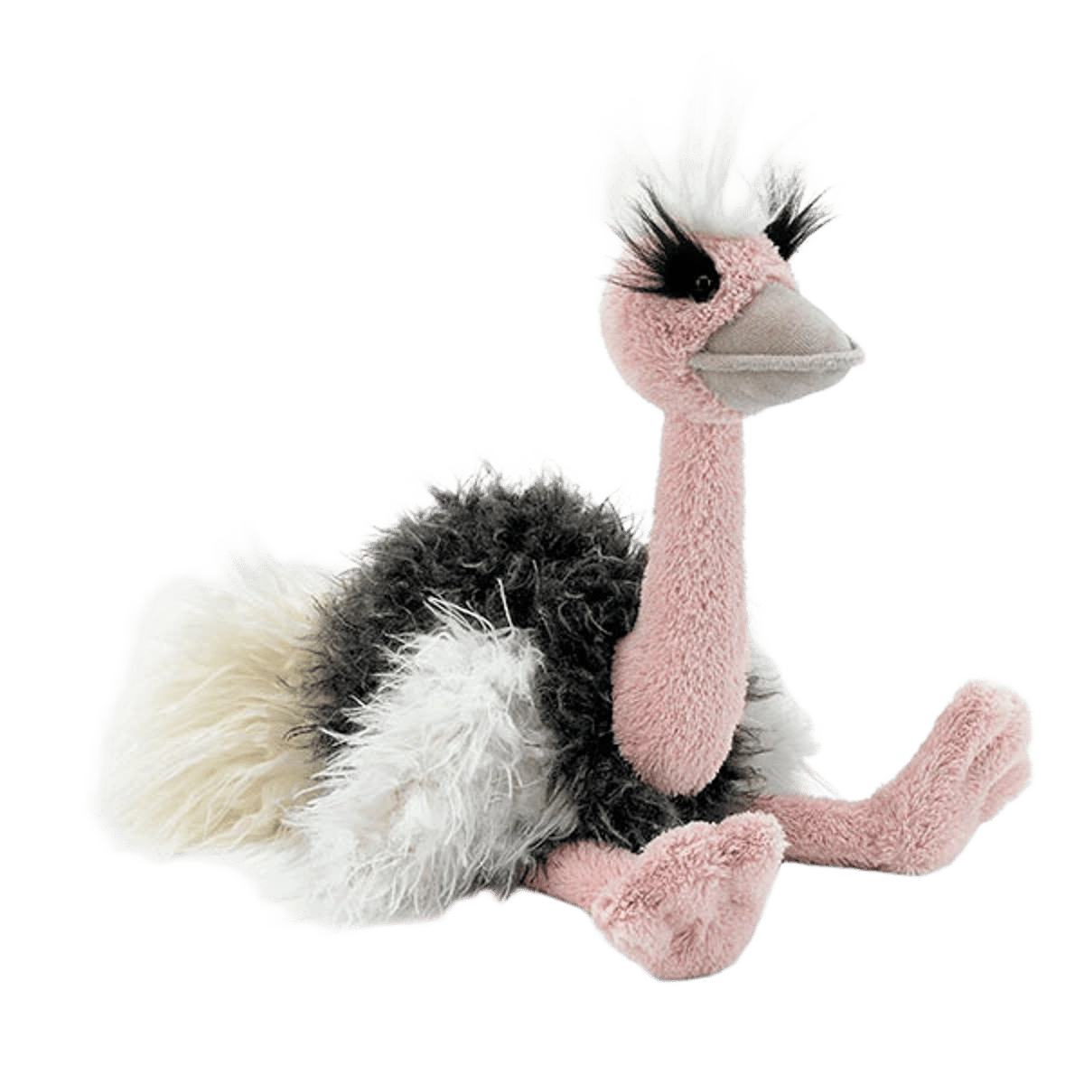 Orla Ostrich