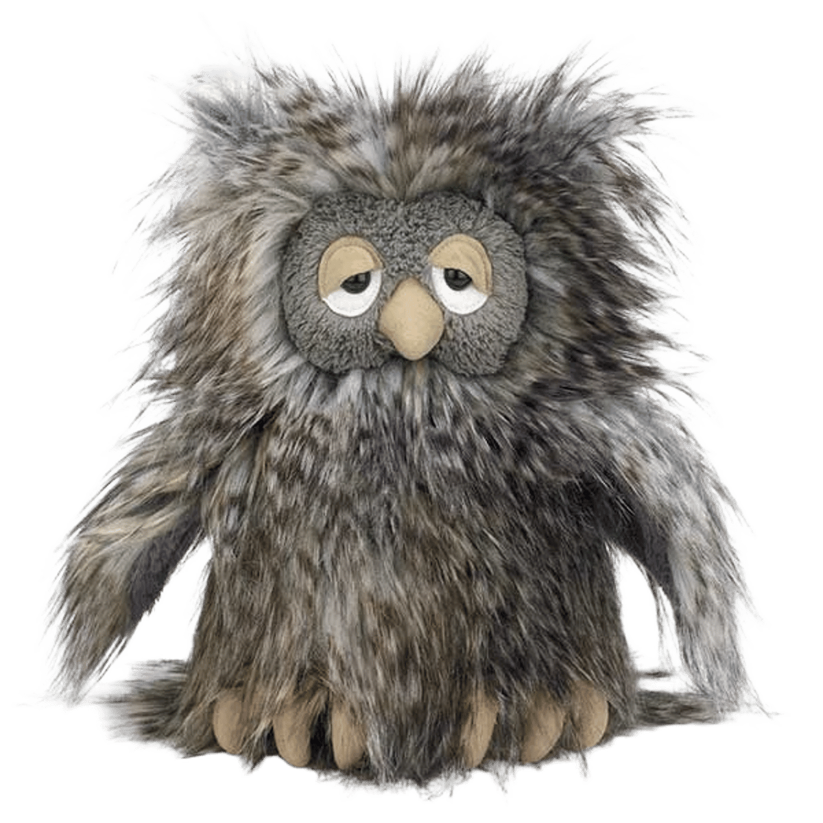 Orlando Owl