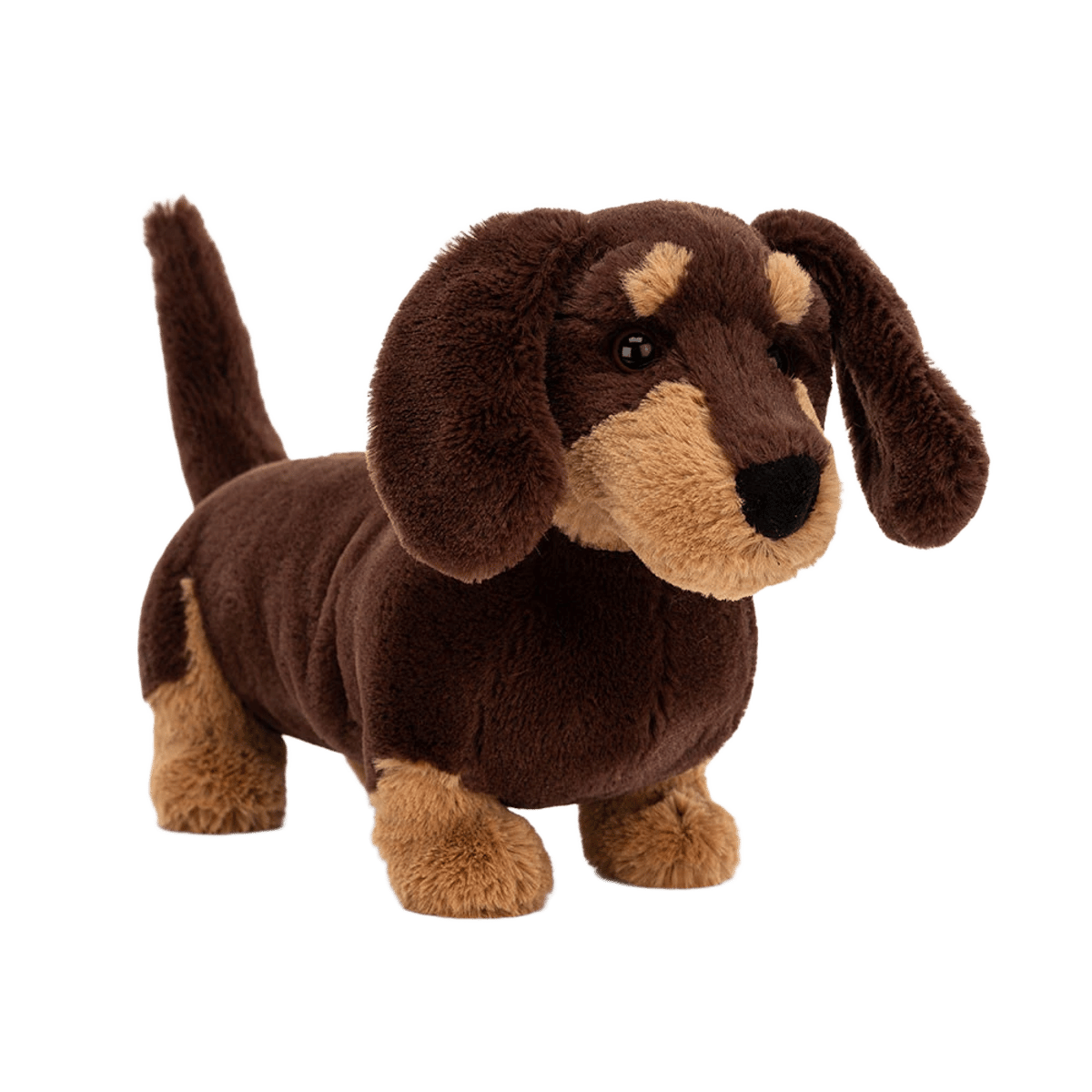 Otto Sausage Dog