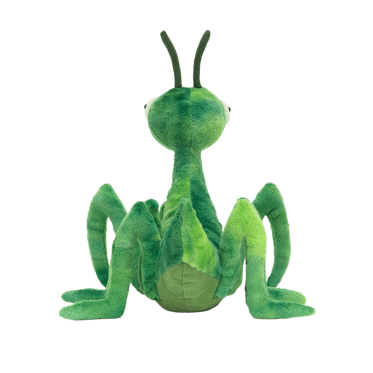 Penny Praying Mantis