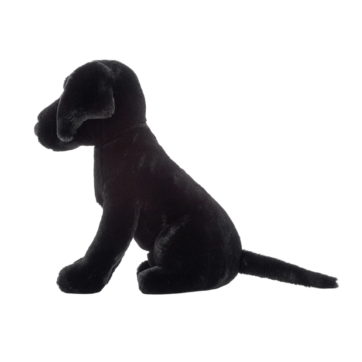 Pippa Black Labrador