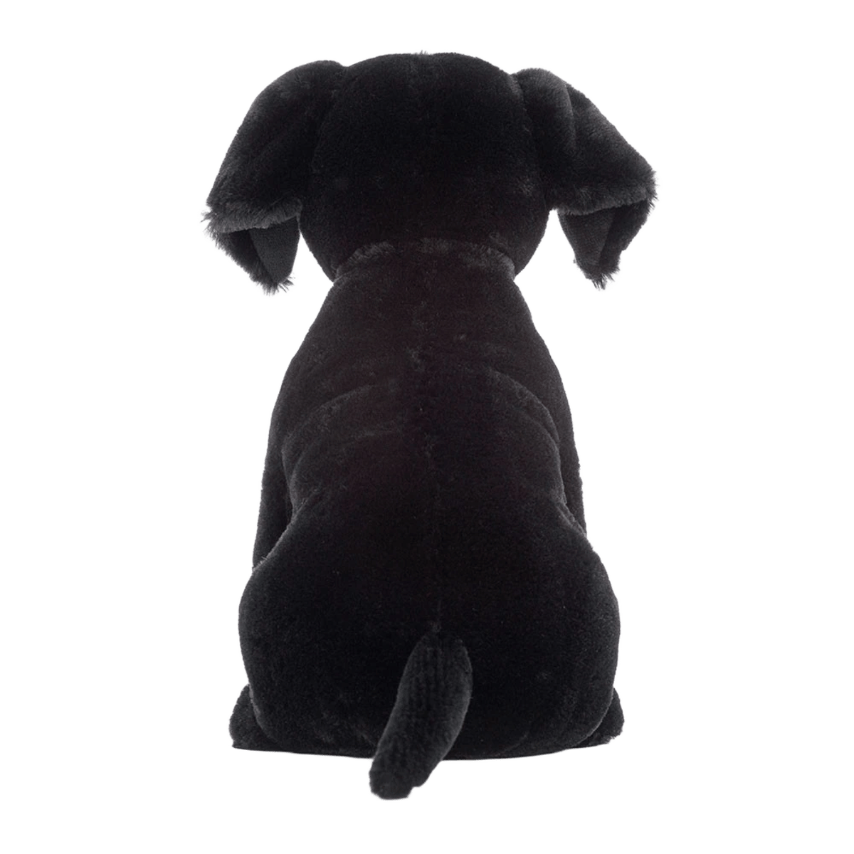 Pippa Black Labrador