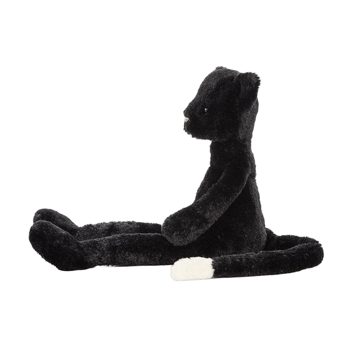 Pitterpat Kitten