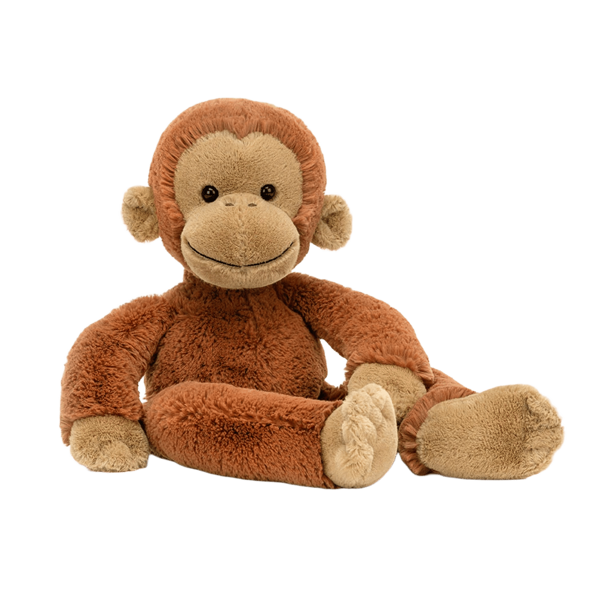 Pongo Orangutan