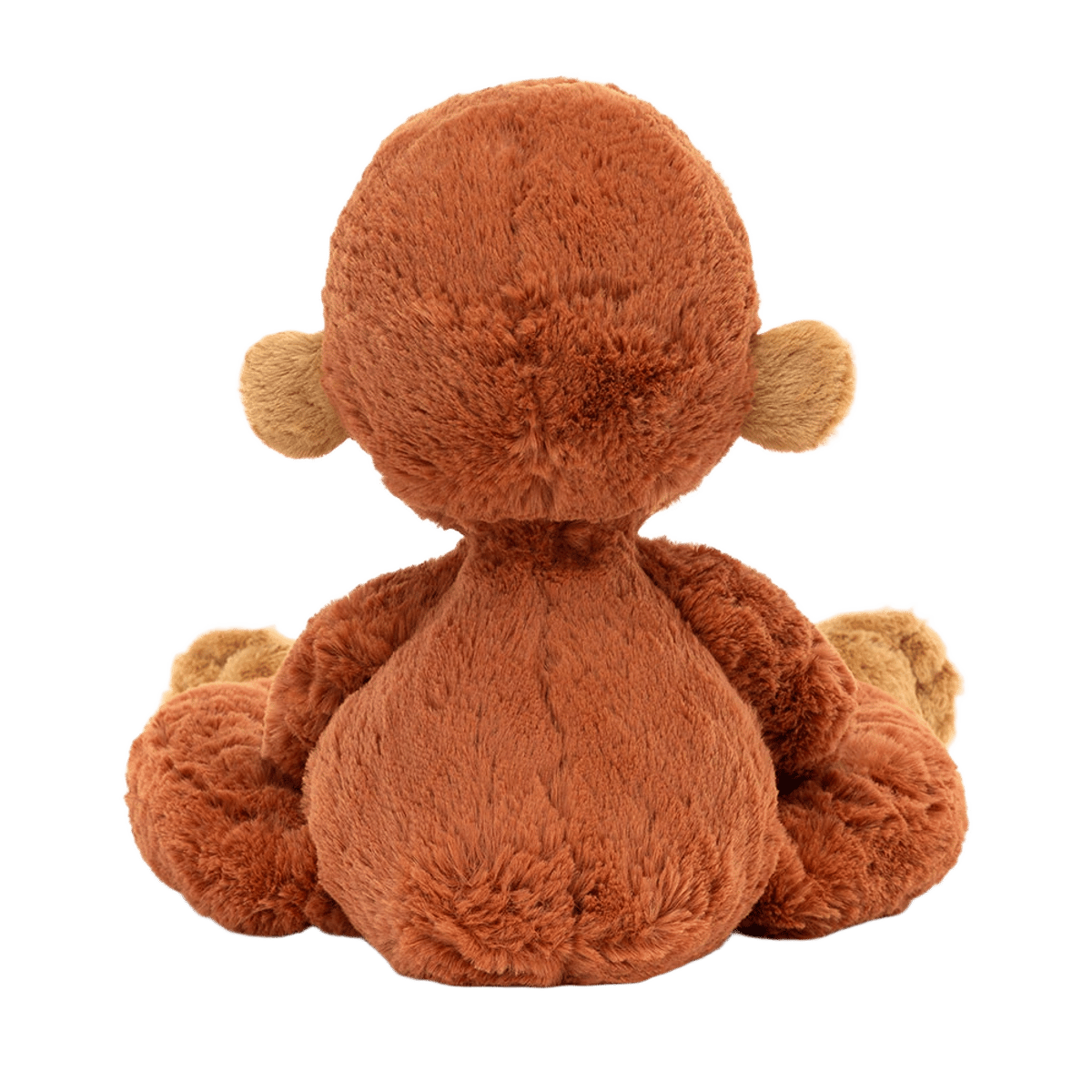 Pongo Orangutan