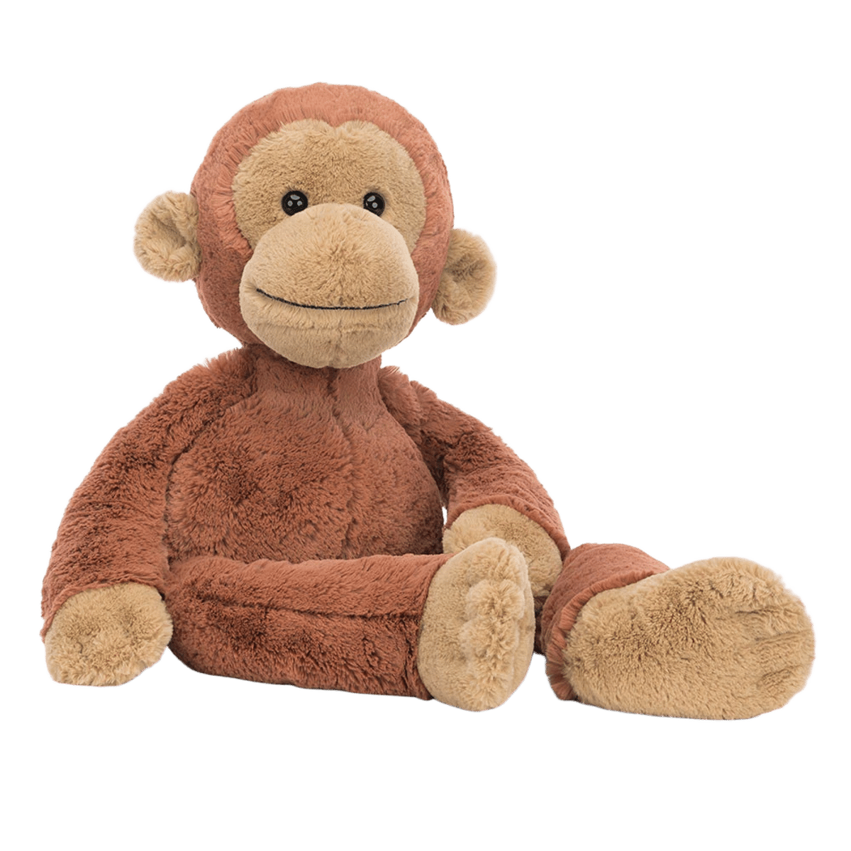Pongo Orangutan
