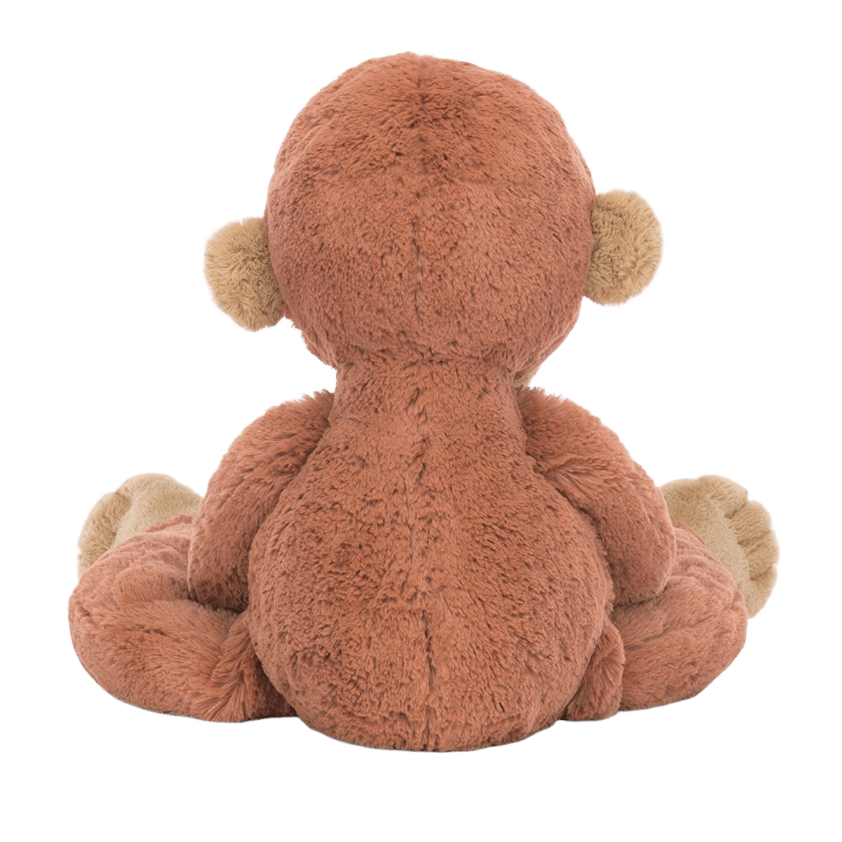 Pongo Orangutan