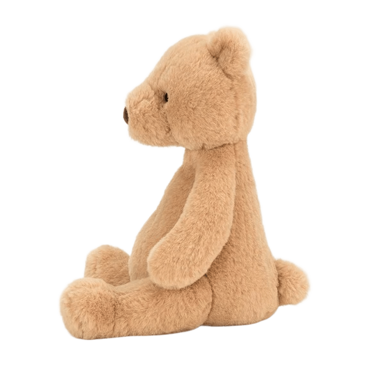 Puffles Bear