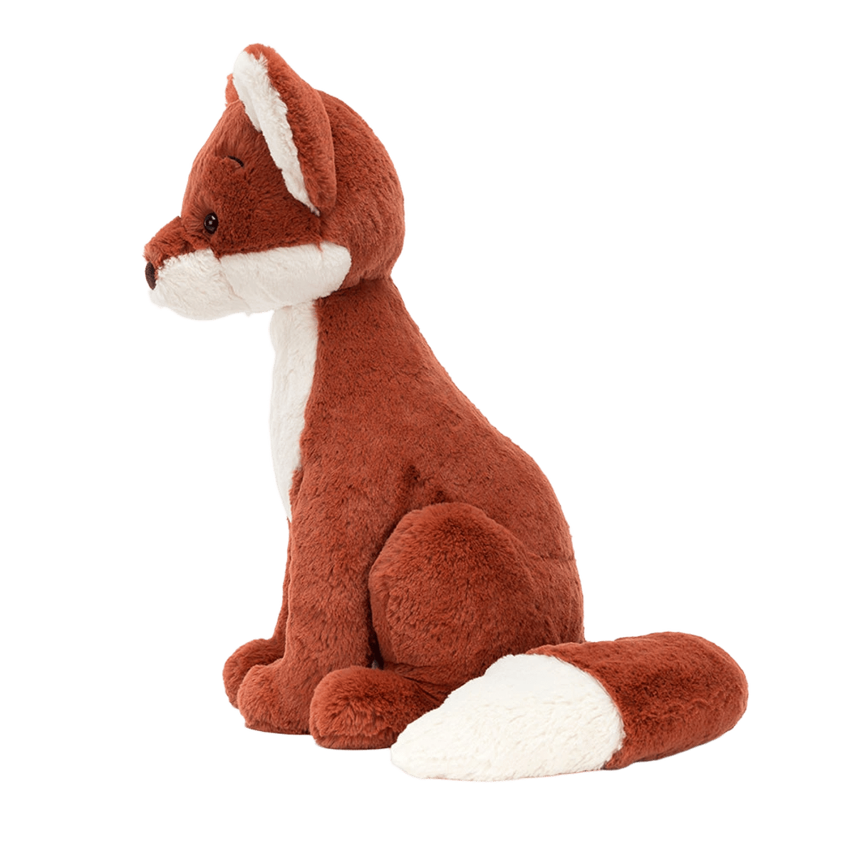 Quinn Fox