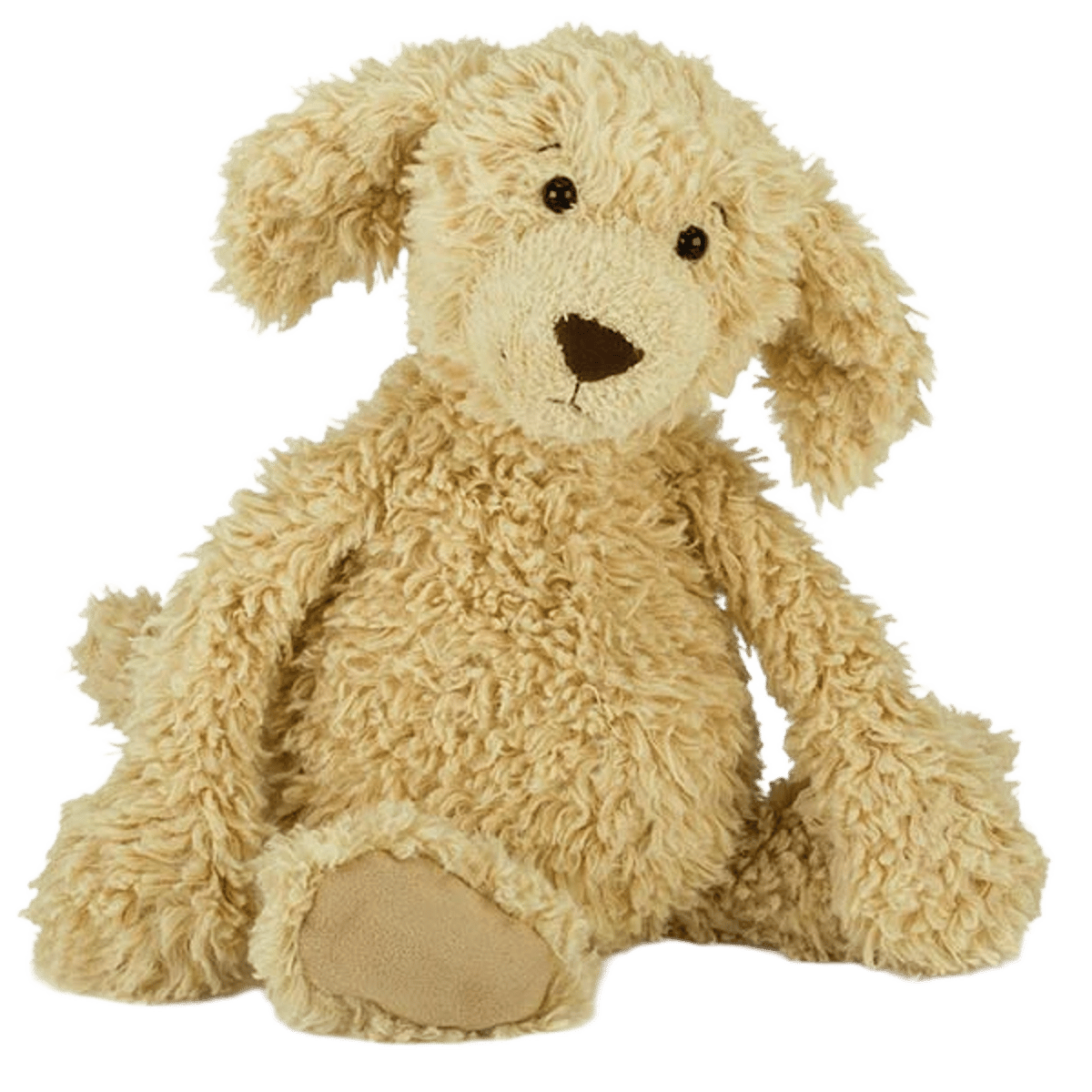 Raggedy Pup