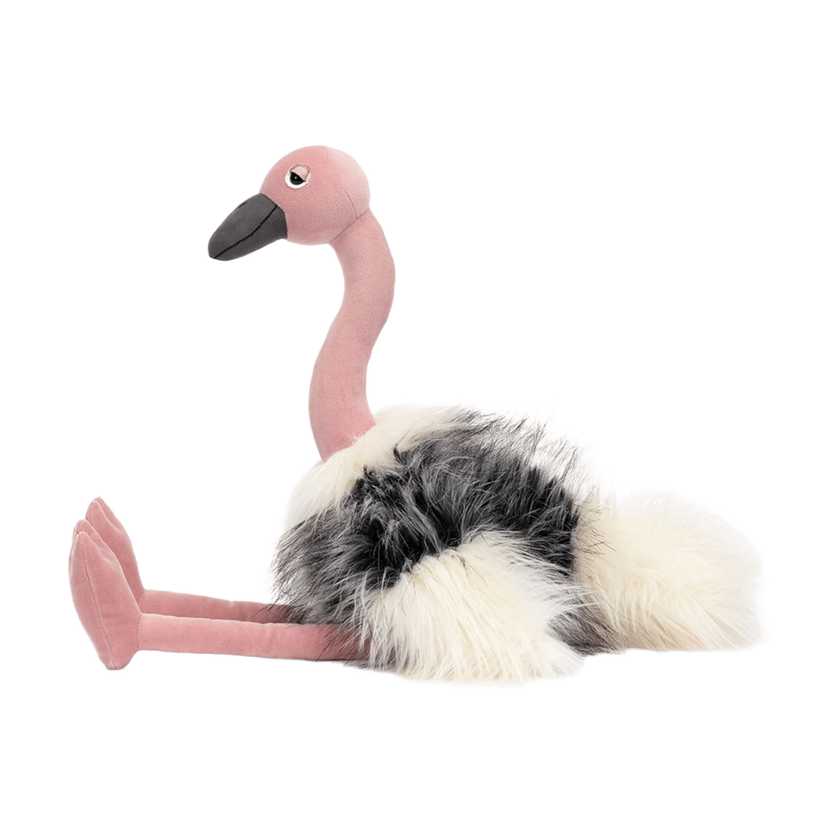 Ramonda Ostrich