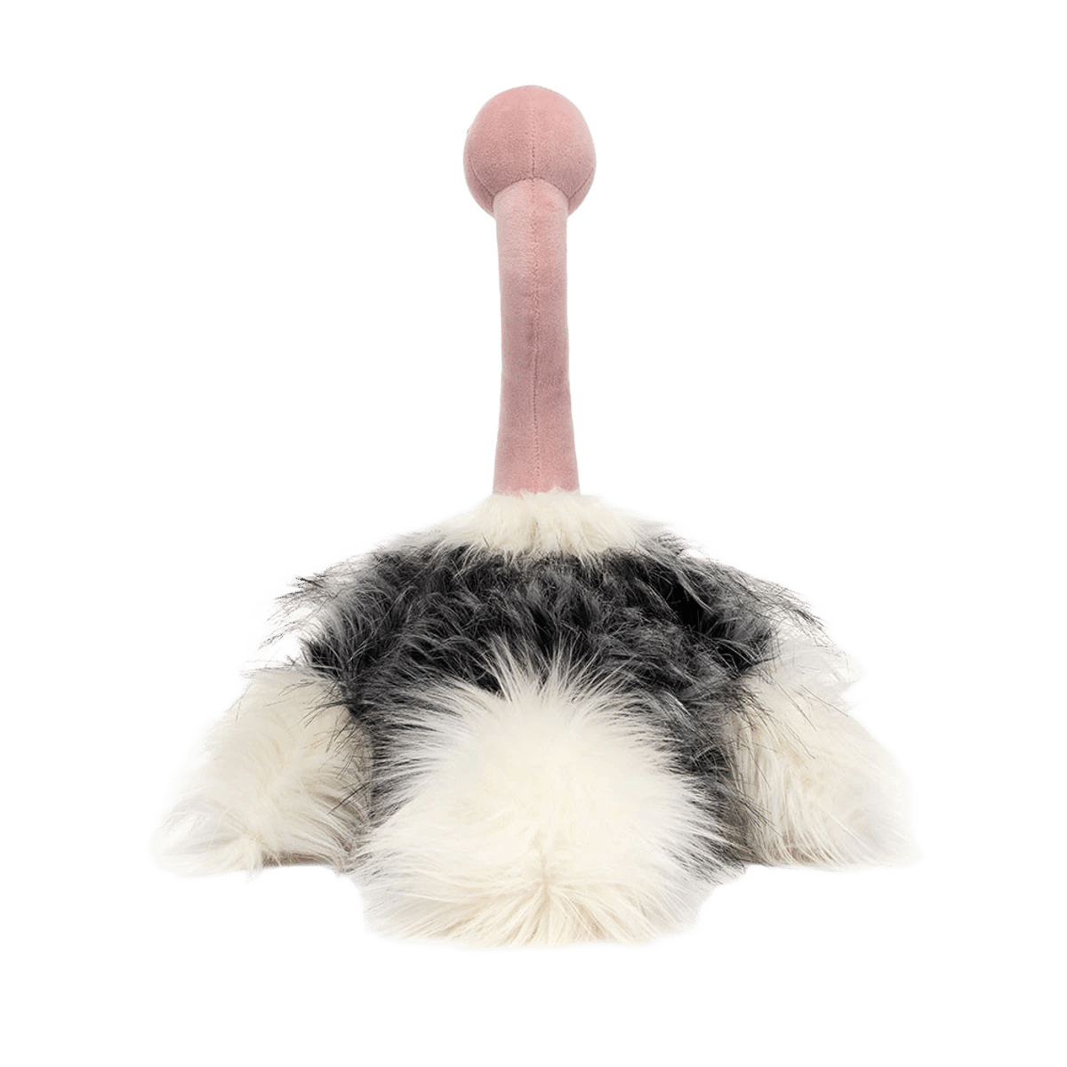 Ramonda Ostrich
