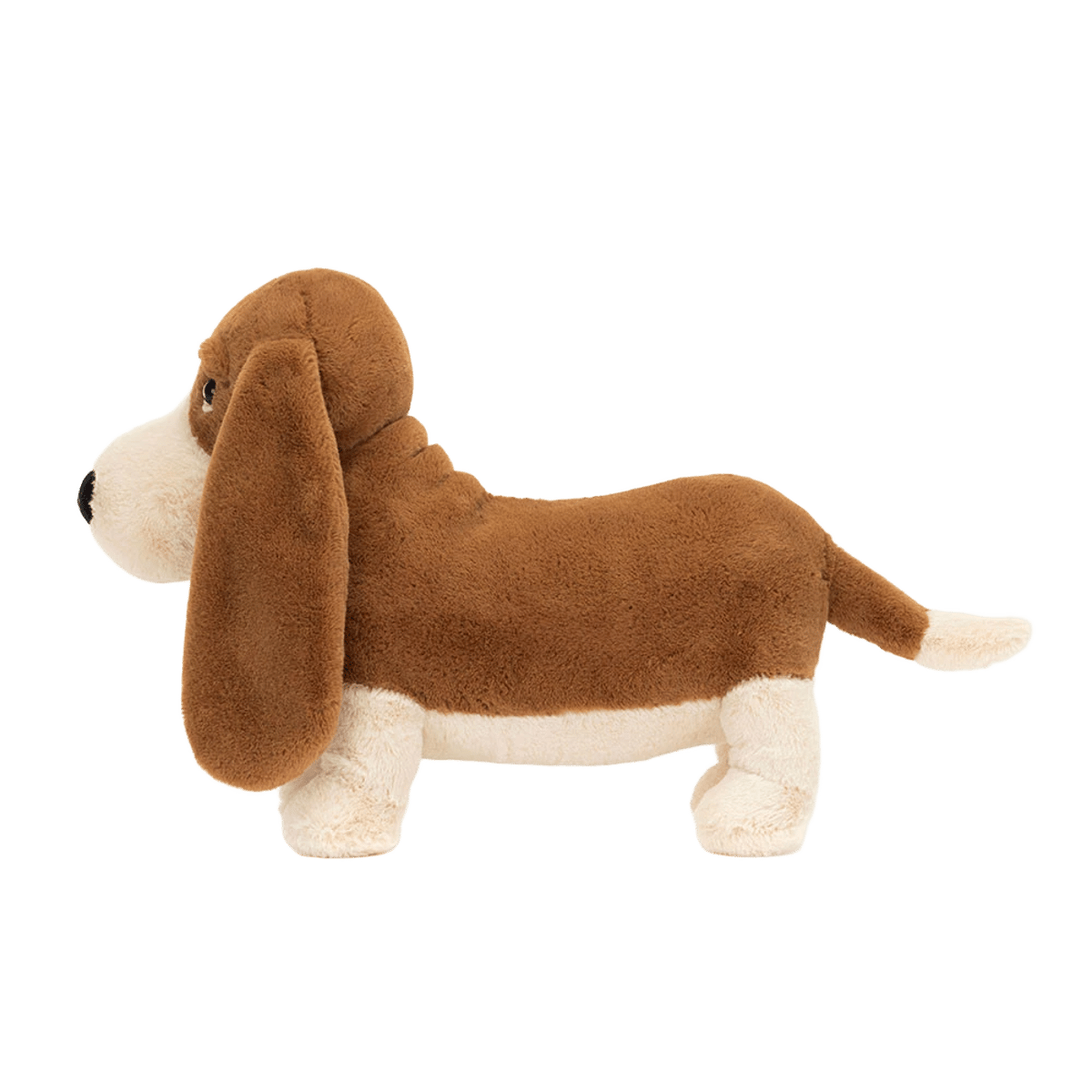 Randall Basset Hound