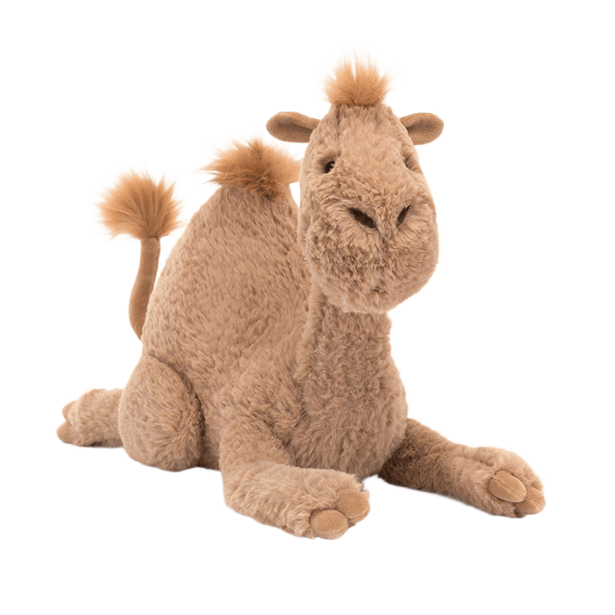 Richie Dromedary