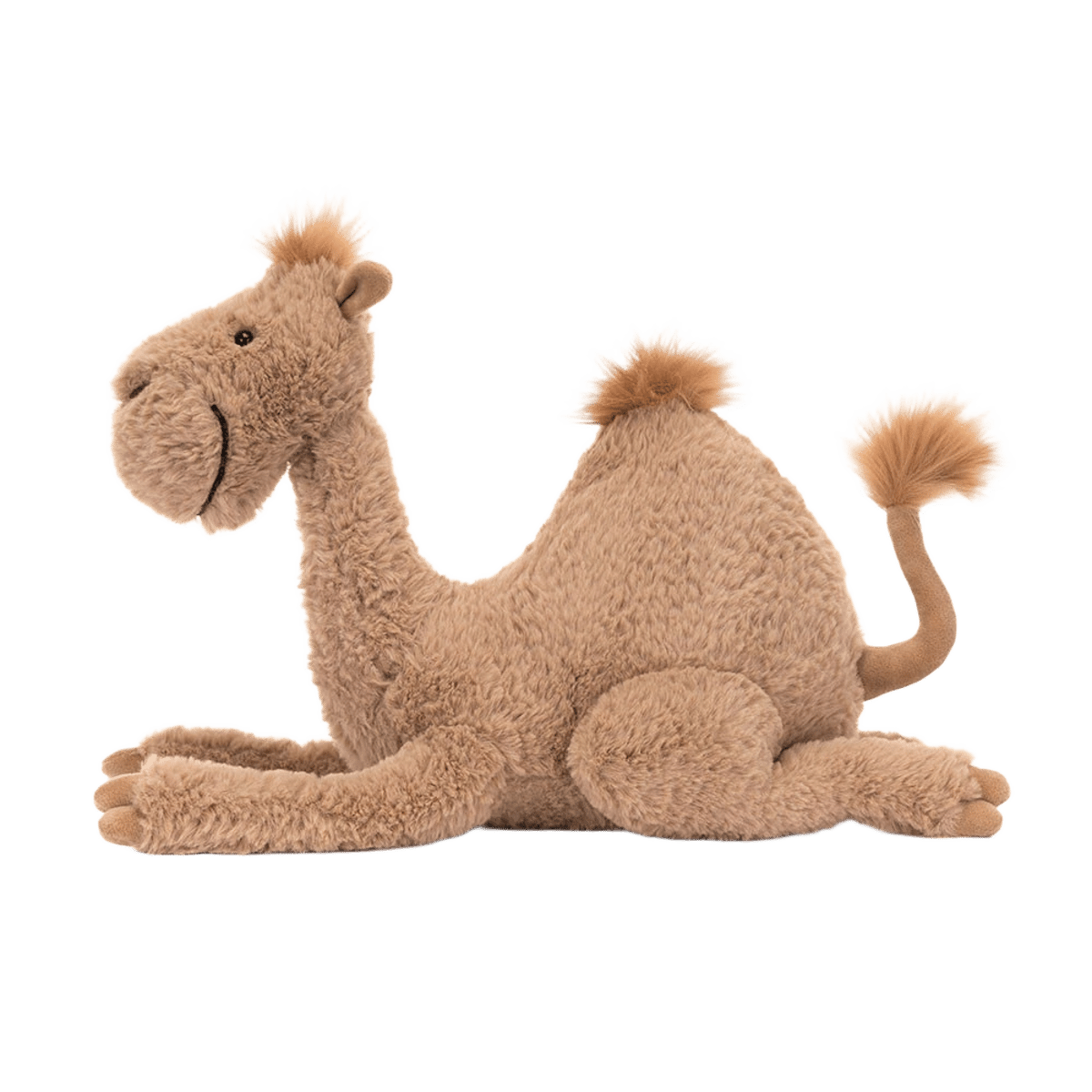 Richie Dromedary
