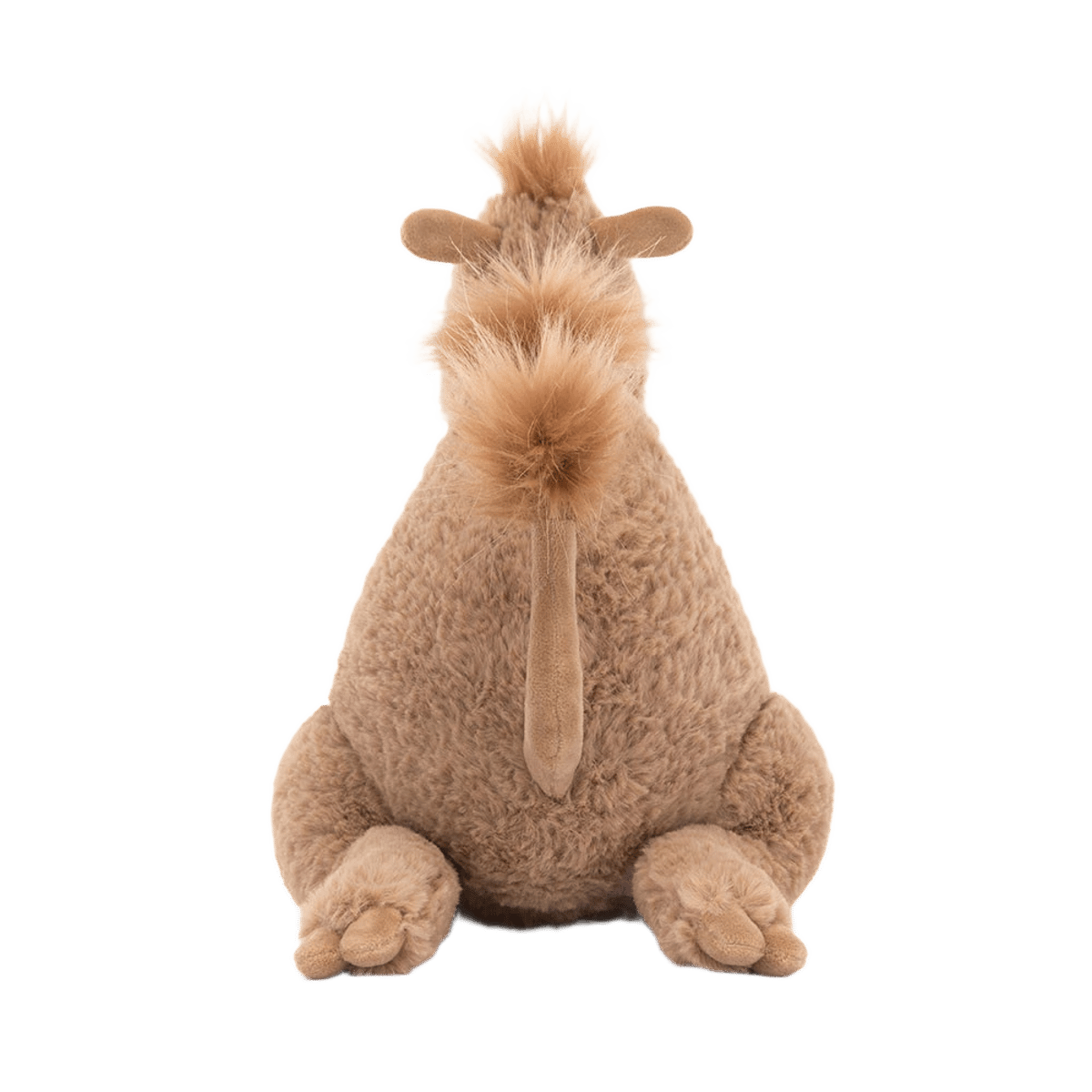 Richie Dromedary