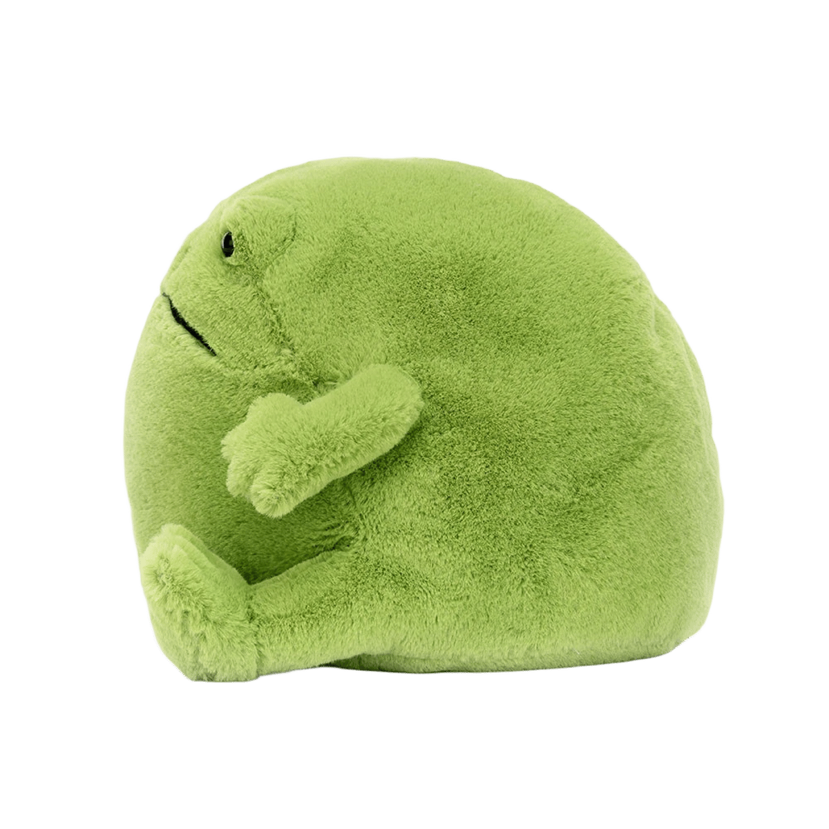 Ricky Rain Frog